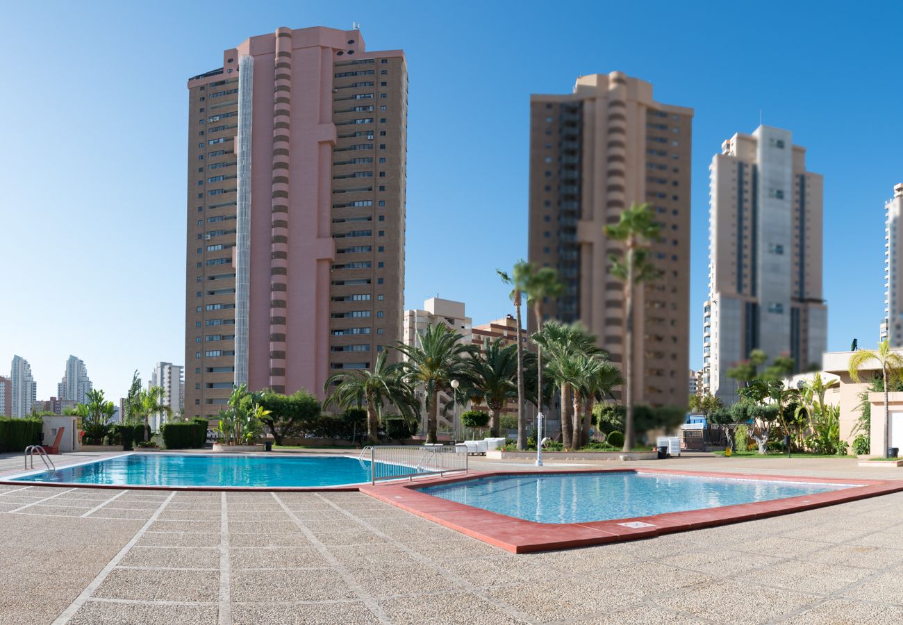 Apartamento en Benidorm - Apartamentos Paraíso 10 con 2 dormitorios 