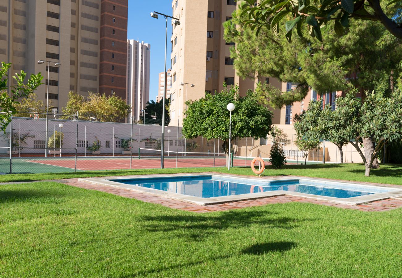 Apartamento en Benidorm - Apartamentos Gemelos 2 y 4 de un dormitorio