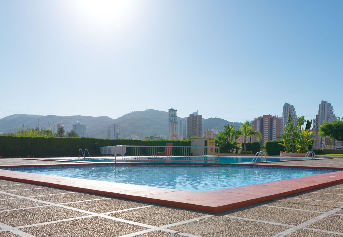 Apartamento en Benidorm - Apartamentos Paraíso 10 de 1 dormitorio