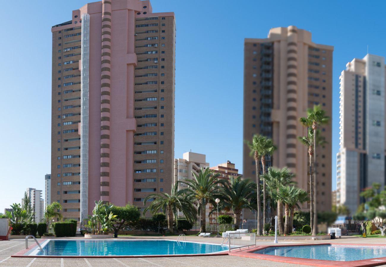 Apartamento en Benidorm - Apartamentos Paraíso 10 de 1 dormitorio