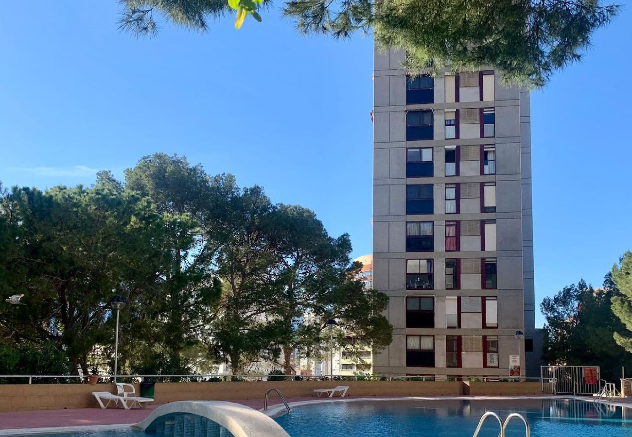 Apartamento en Benidorm - Apartamento Gemelos 15 totalmente reformado