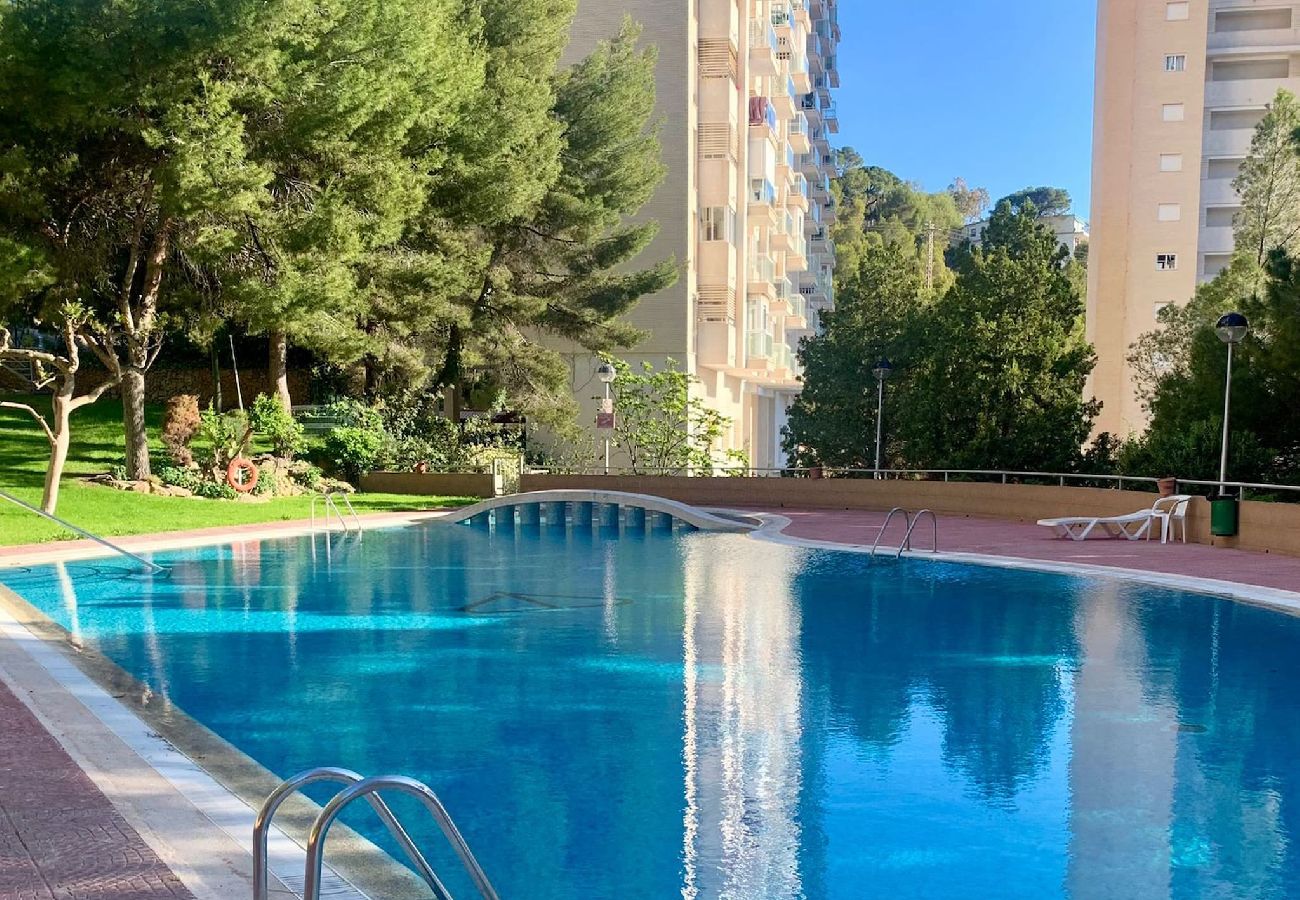 Apartamento en Benidorm - Apartamento Gemelos 15 totalmente reformado