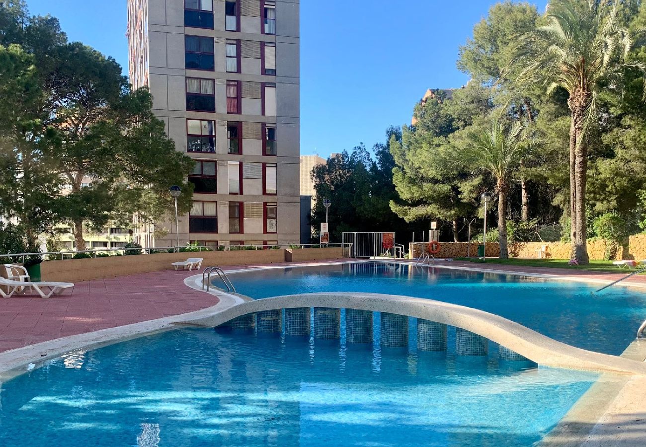 Apartamento en Benidorm - Apartamento Gemelos 15 totalmente reformado