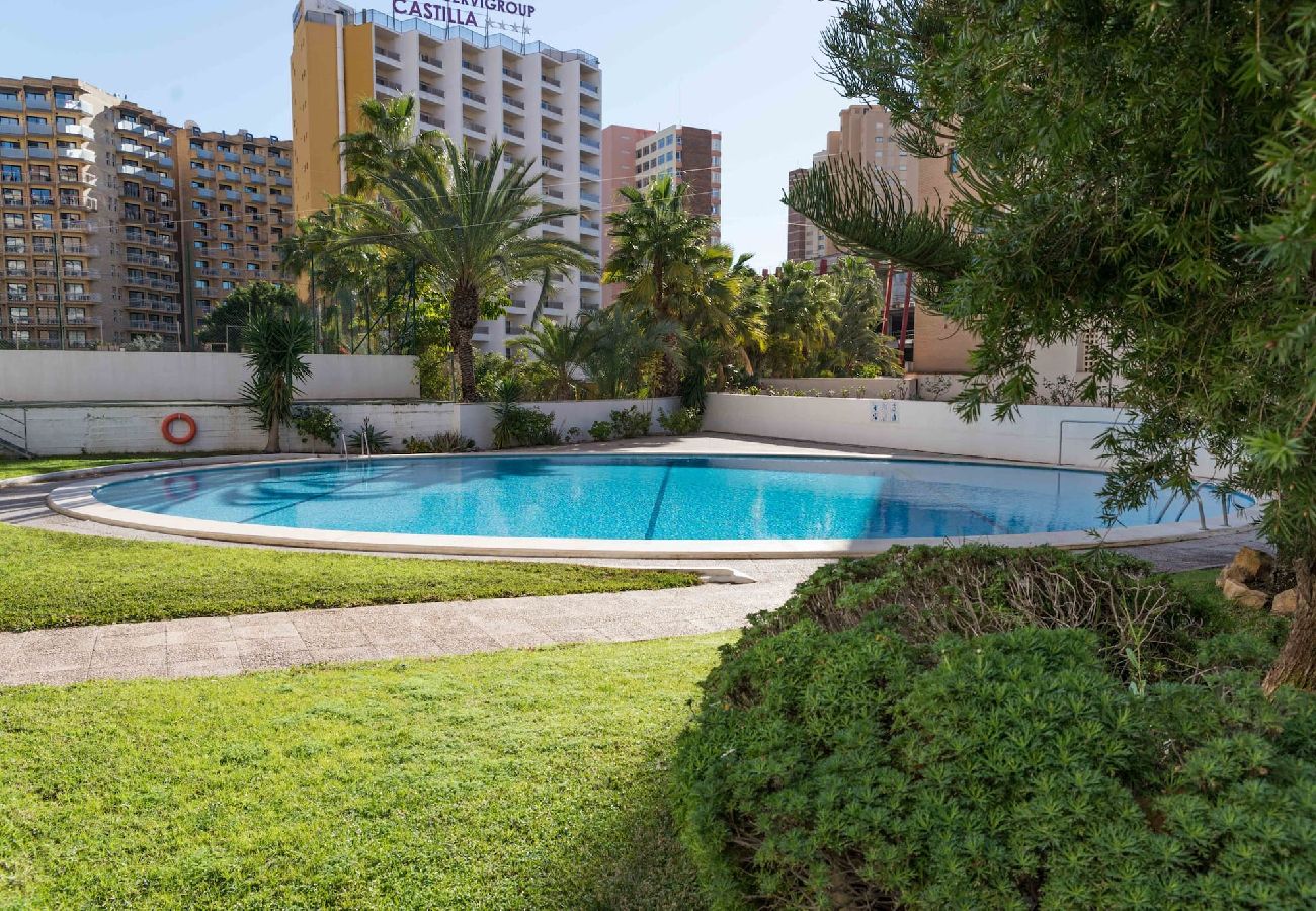 Apartamento en Benidorm - Apartamento La Niña 18 by Gestaltur 