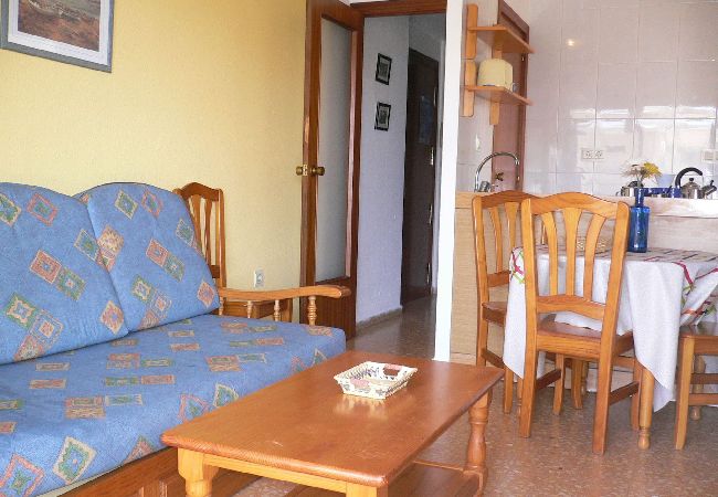 Apartamento en Benidorm - Apartamentos Mariscal 4 y 5 - Gestaltur  Apartamento en Benidorm - Apartamentos Mariscal 4 y 5 - Gestaltur