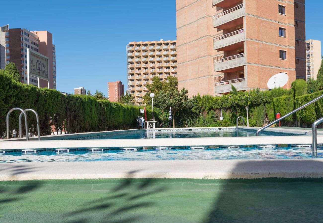 Apartamento en Benidorm - Apartamentos Mariscal 4 y 5 - Gestaltur 