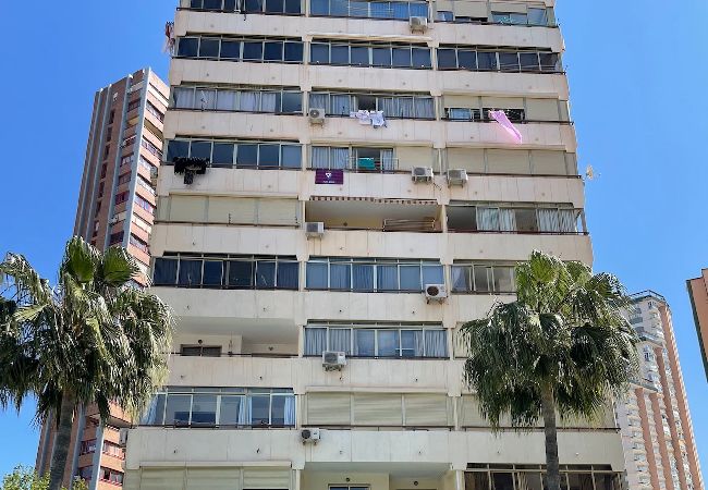 Apartamento en Benidorm - Luminoso apartamento en Torre Estoril Apartamento en Benidorm - Luminoso apartamento en Torre Estoril