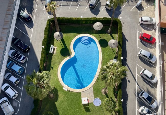 Apartamento en Benidorm - Luminoso apartamento en Torre Estoril Apartamento en Benidorm - Luminoso apartamento en Torre Estoril