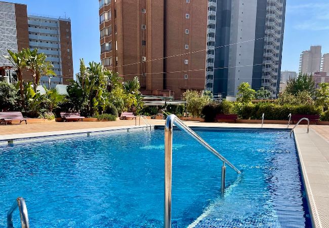 Apartamento en Benidorm - Apartamento con piscina y vistas en Torremar