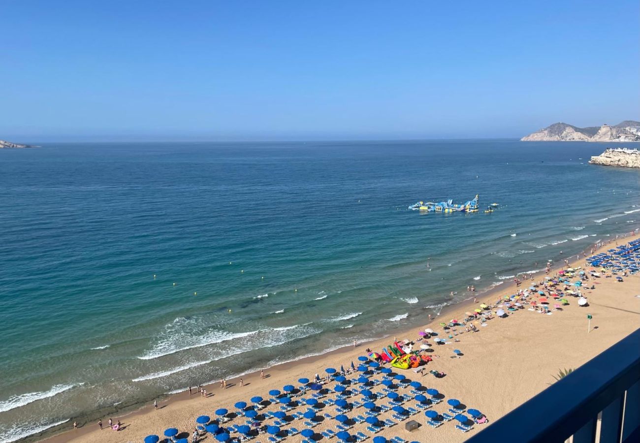 Estudio en Benidorm - Estudio en primera línea en Playa Levante