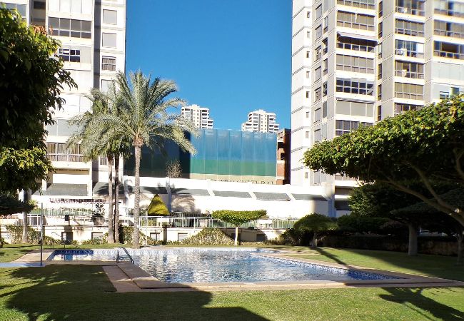 Apartamento en Benidorm - Apartamento de dos dormitorios con piscina  Apartamento en Benidorm - Apartamento de dos dormitorios con piscina