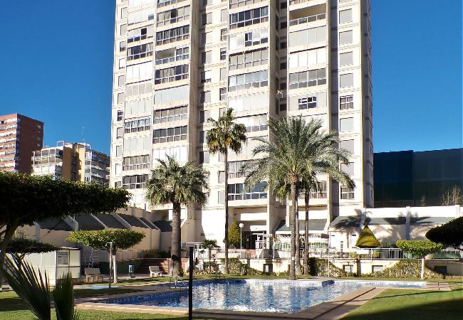 Apartamento en Benidorm - Apartamento de dos dormitorios con piscina  Apartamento en Benidorm - Apartamento de dos dormitorios con piscina