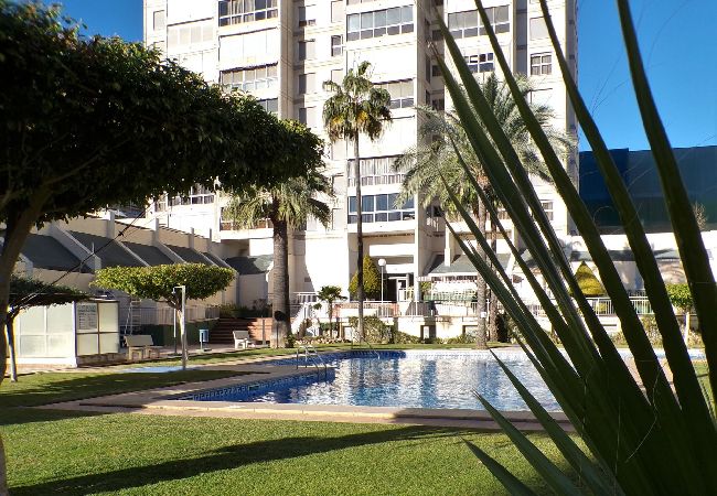 Apartamento en Benidorm - Apartamento de dos dormitorios con piscina  Apartamento en Benidorm - Apartamento de dos dormitorios con piscina