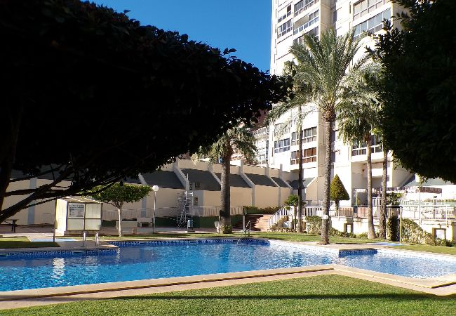 Apartamento en Benidorm - Apartamento de dos dormitorios con piscina  Apartamento en Benidorm - Apartamento de dos dormitorios con piscina