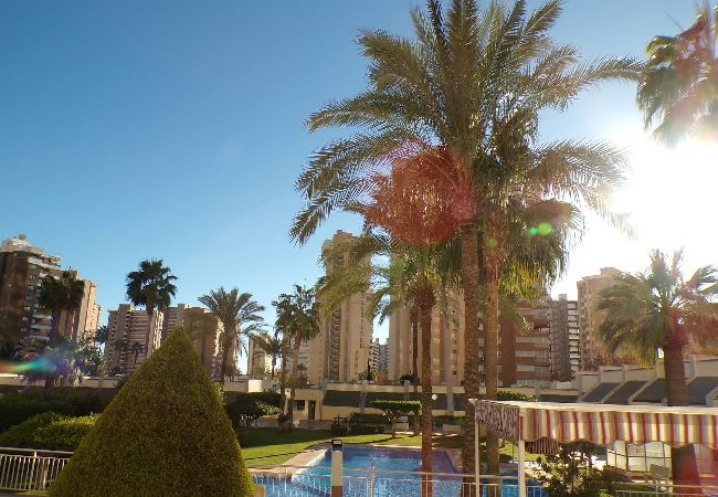 Apartamento en Benidorm - Apartamento de dos dormitorios con piscina  Apartamento en Benidorm - Apartamento de dos dormitorios con piscina