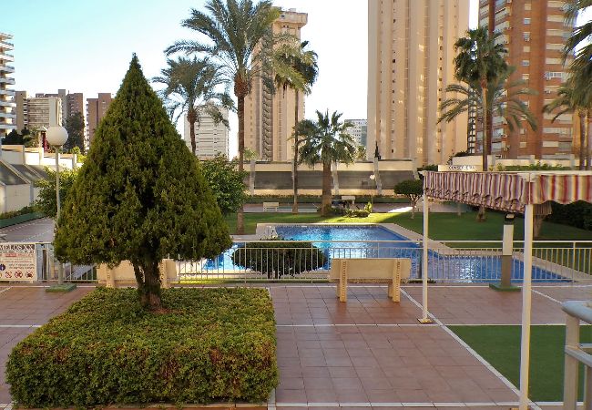 Apartamento en Benidorm - Apartamento de dos dormitorios con piscina  Apartamento en Benidorm - Apartamento de dos dormitorios con piscina