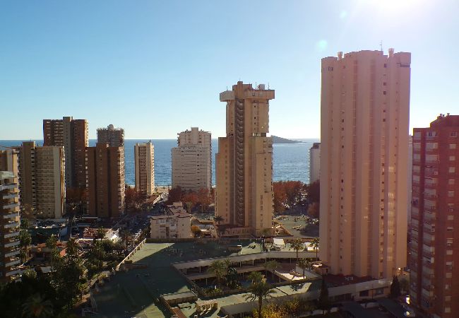 Apartamento en Benidorm - Apartamento de dos dormitorios con piscina  Apartamento en Benidorm - Apartamento de dos dormitorios con piscina