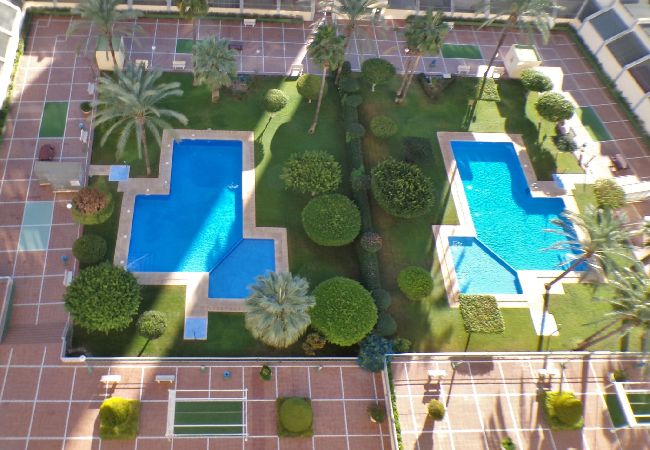 Apartamento en Benidorm - Apartamento de dos dormitorios con piscina  Apartamento en Benidorm - Apartamento de dos dormitorios con piscina