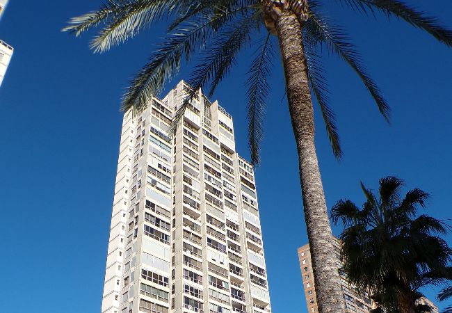 Apartamento en Benidorm - Apartamento de dos dormitorios con piscina  Apartamento en Benidorm - Apartamento de dos dormitorios con piscina