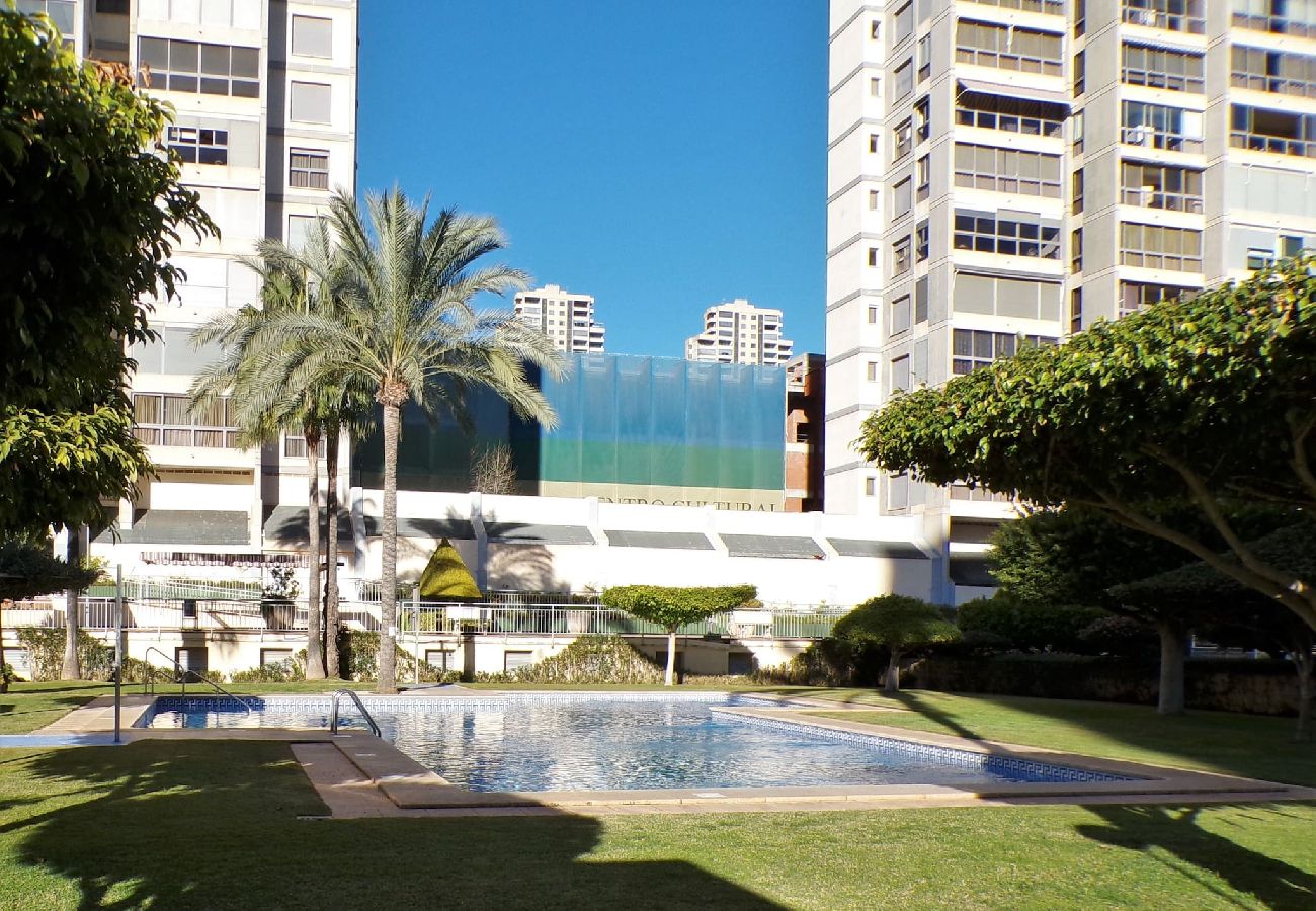 Apartamento en Benidorm - Apartamento de dos dormitorios con piscina 