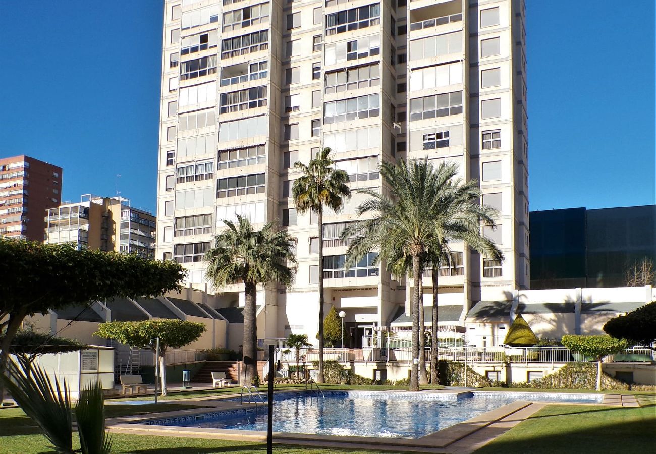 Apartamento en Benidorm - Apartamento de dos dormitorios con piscina 