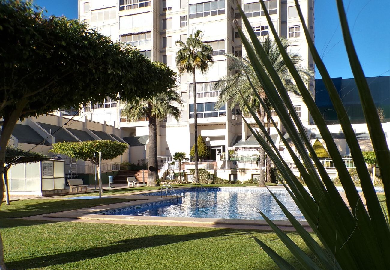 Apartamento en Benidorm - Apartamento de dos dormitorios con piscina 