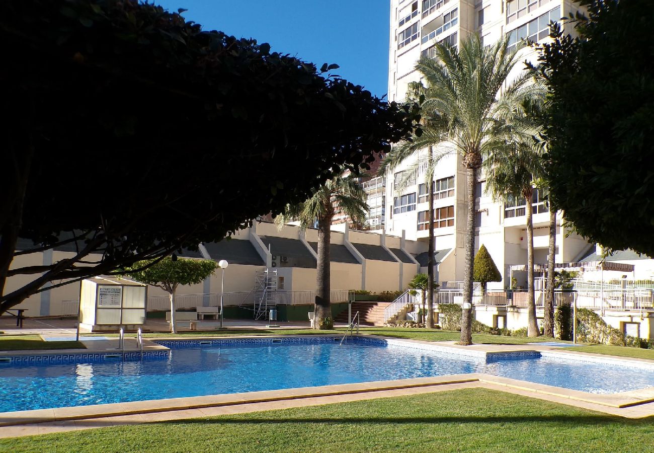 Apartamento en Benidorm - Apartamento de dos dormitorios con piscina 