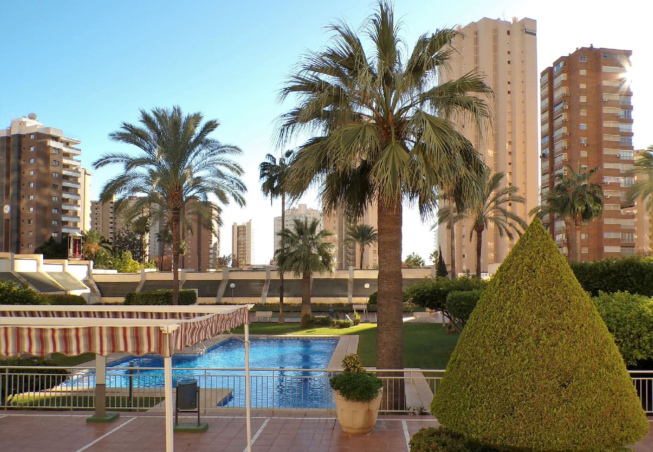 Apartamento en Benidorm - Apartamento de dos dormitorios con piscina 