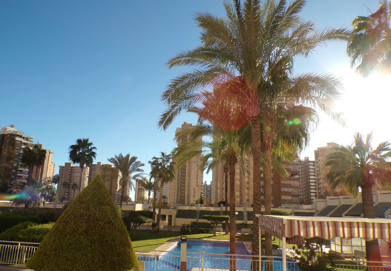 Apartamento en Benidorm - Apartamento de dos dormitorios con piscina 