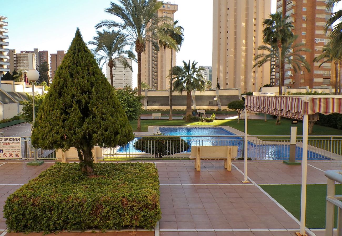 Apartamento en Benidorm - Apartamento de dos dormitorios con piscina 