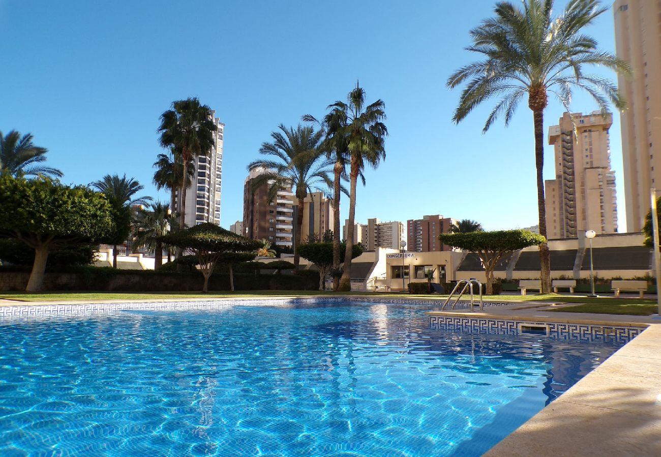 Apartamento en Benidorm - Apartamento de dos dormitorios con piscina 