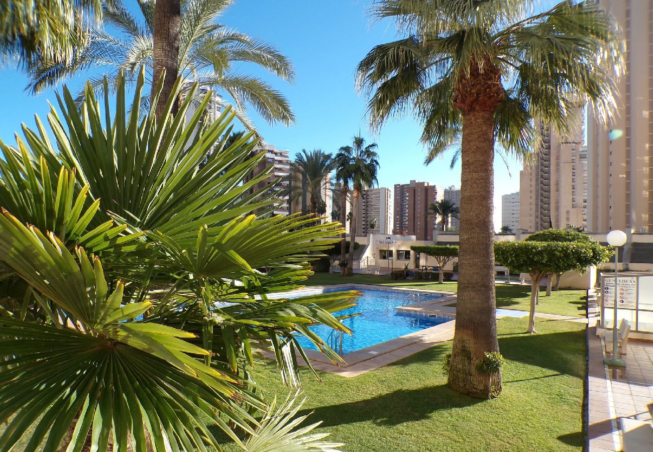 Apartamento en Benidorm - Apartamento de dos dormitorios con piscina 