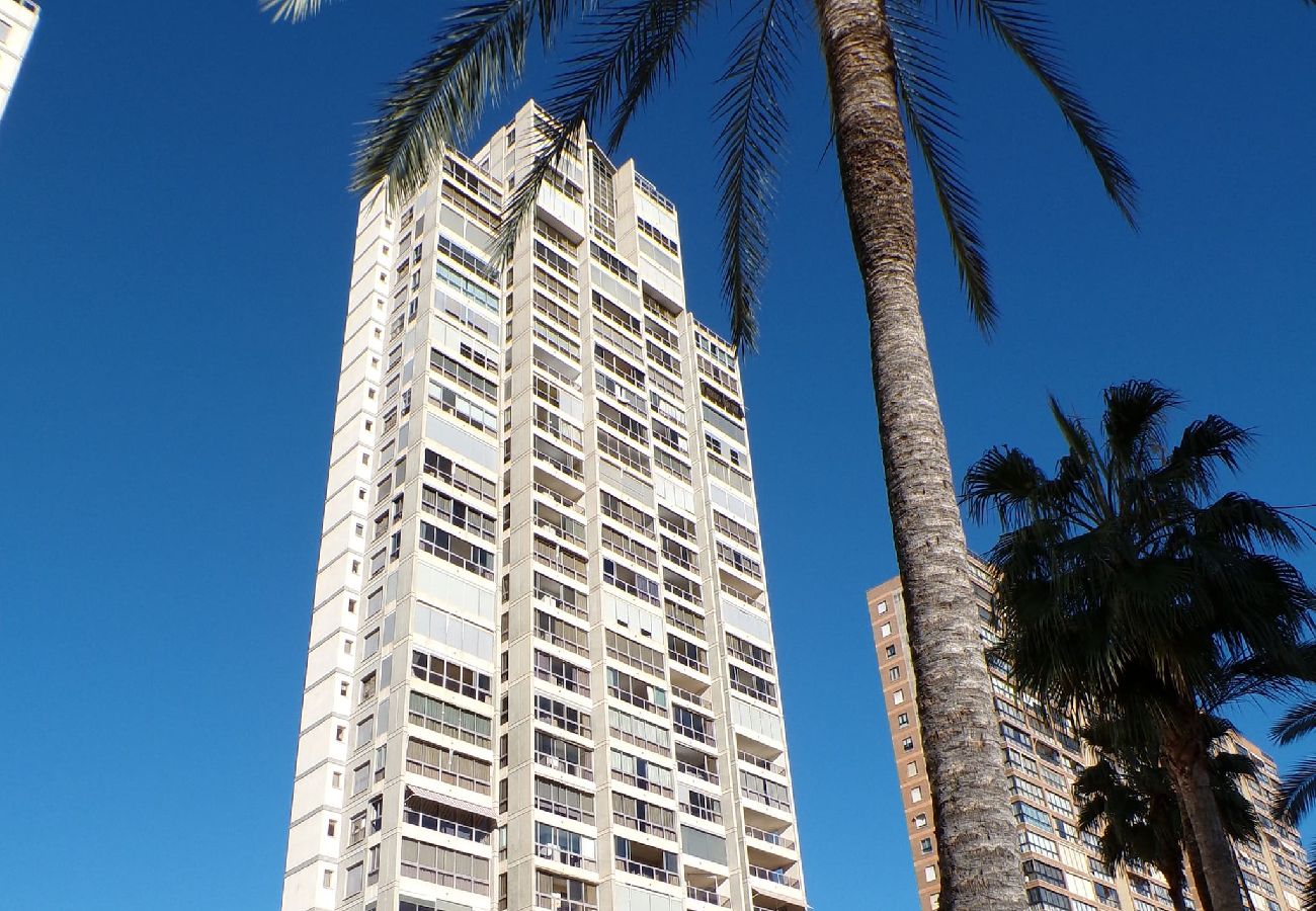 Apartamento en Benidorm - Apartamento de dos dormitorios con piscina 