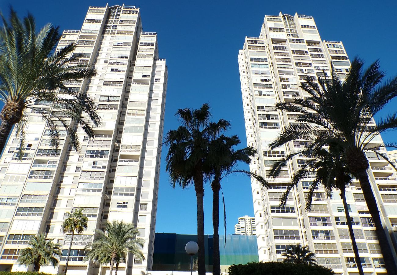 Apartamento en Benidorm - Apartamento de dos dormitorios con piscina 