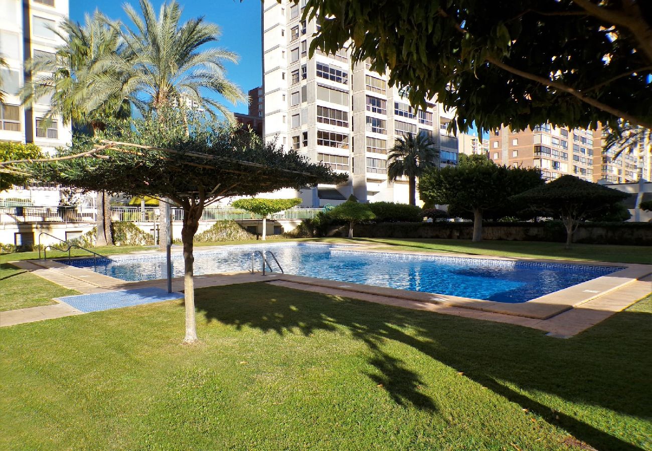 Apartamento en Benidorm - Apartamento de dos dormitorios con piscina 