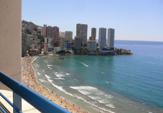 Apartamento en Benidorm - Apartamento en Torre Levante en primera línea 