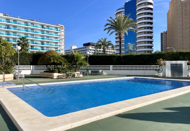 Apartamento en Benidorm - Apartamento Torre Domo con vistas al mar 