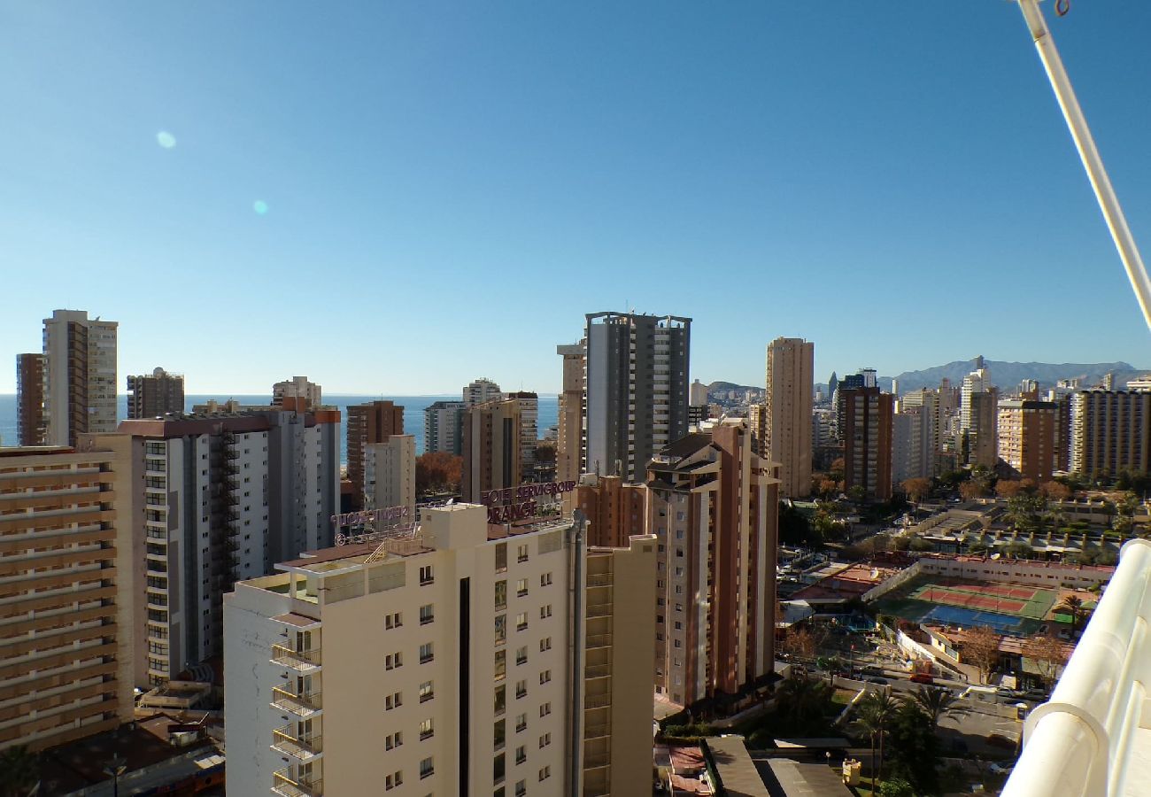 Apartamento en Benidorm - Apartamento Torre Domo con vistas al mar 