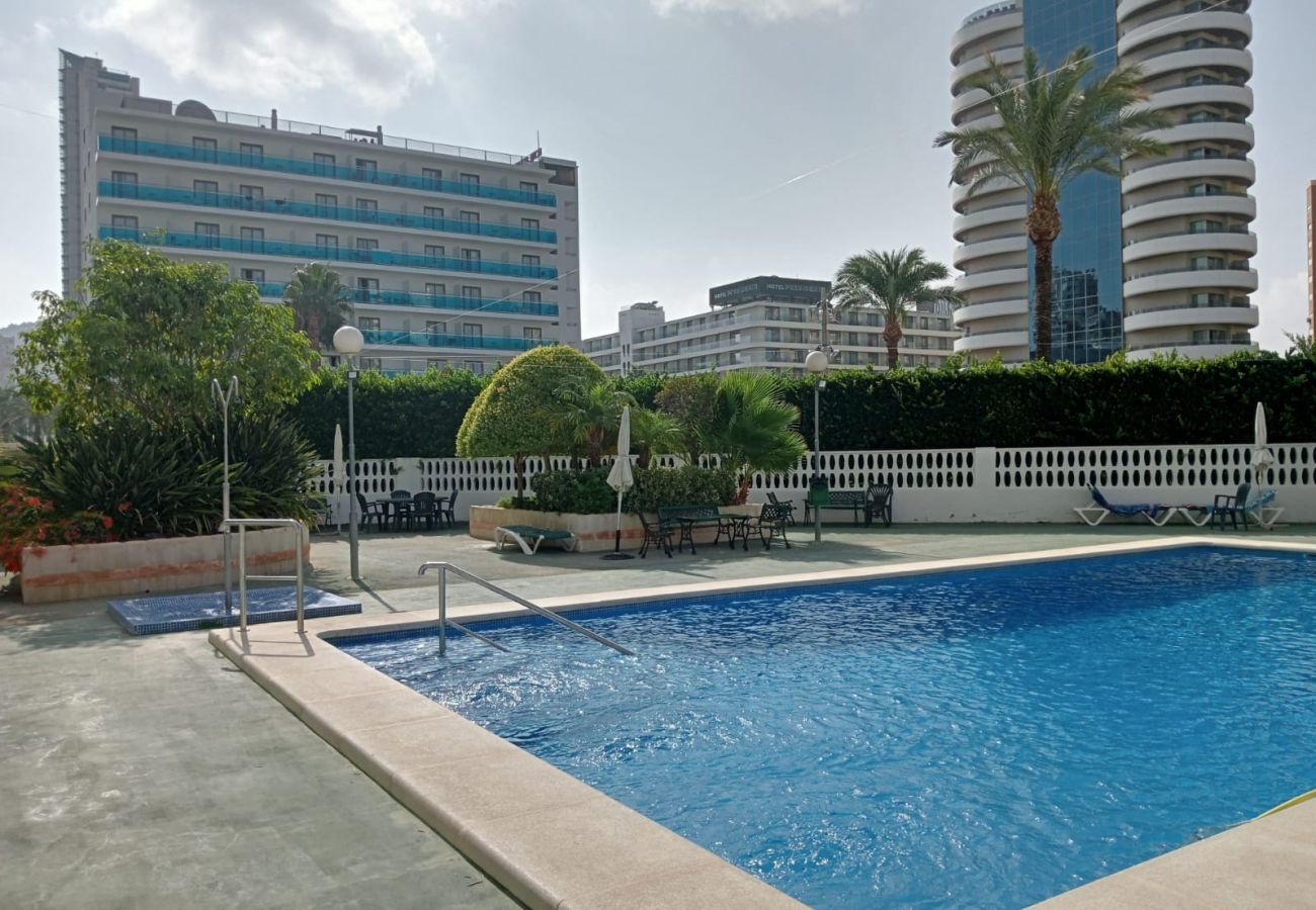 Apartamento en Benidorm - Apartamento Torre Domo con vistas al mar 