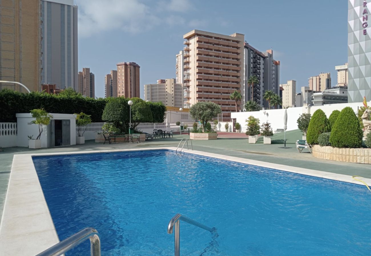 Apartamento en Benidorm - Apartamento Torre Domo con vistas al mar 