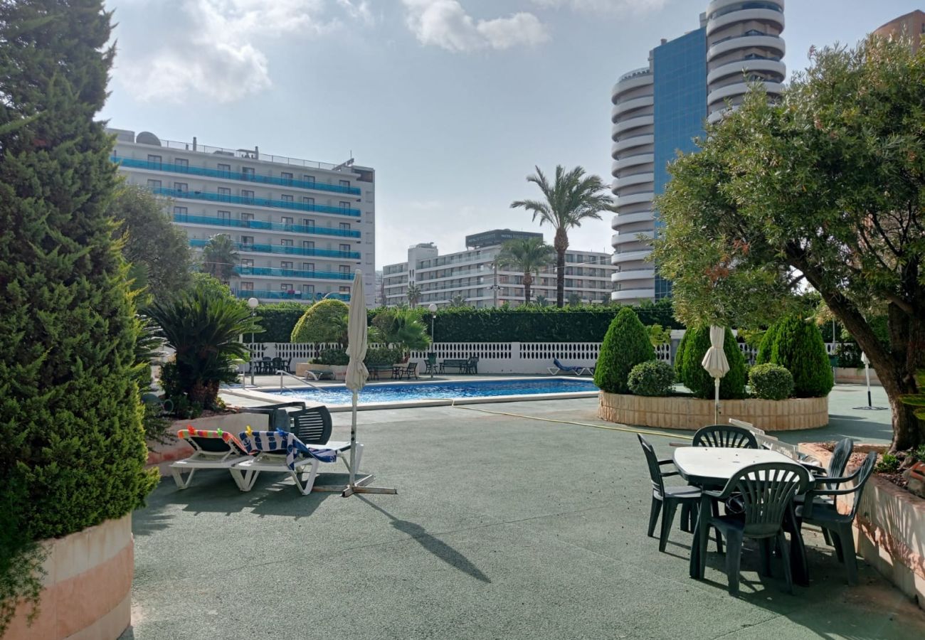 Apartamento en Benidorm - Apartamento Torre Domo con vistas al mar 