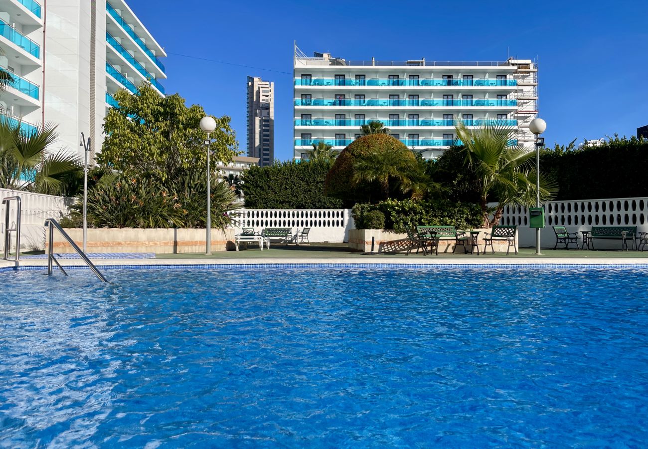 Apartamento en Benidorm - Apartamento Torre Domo con vistas al mar 