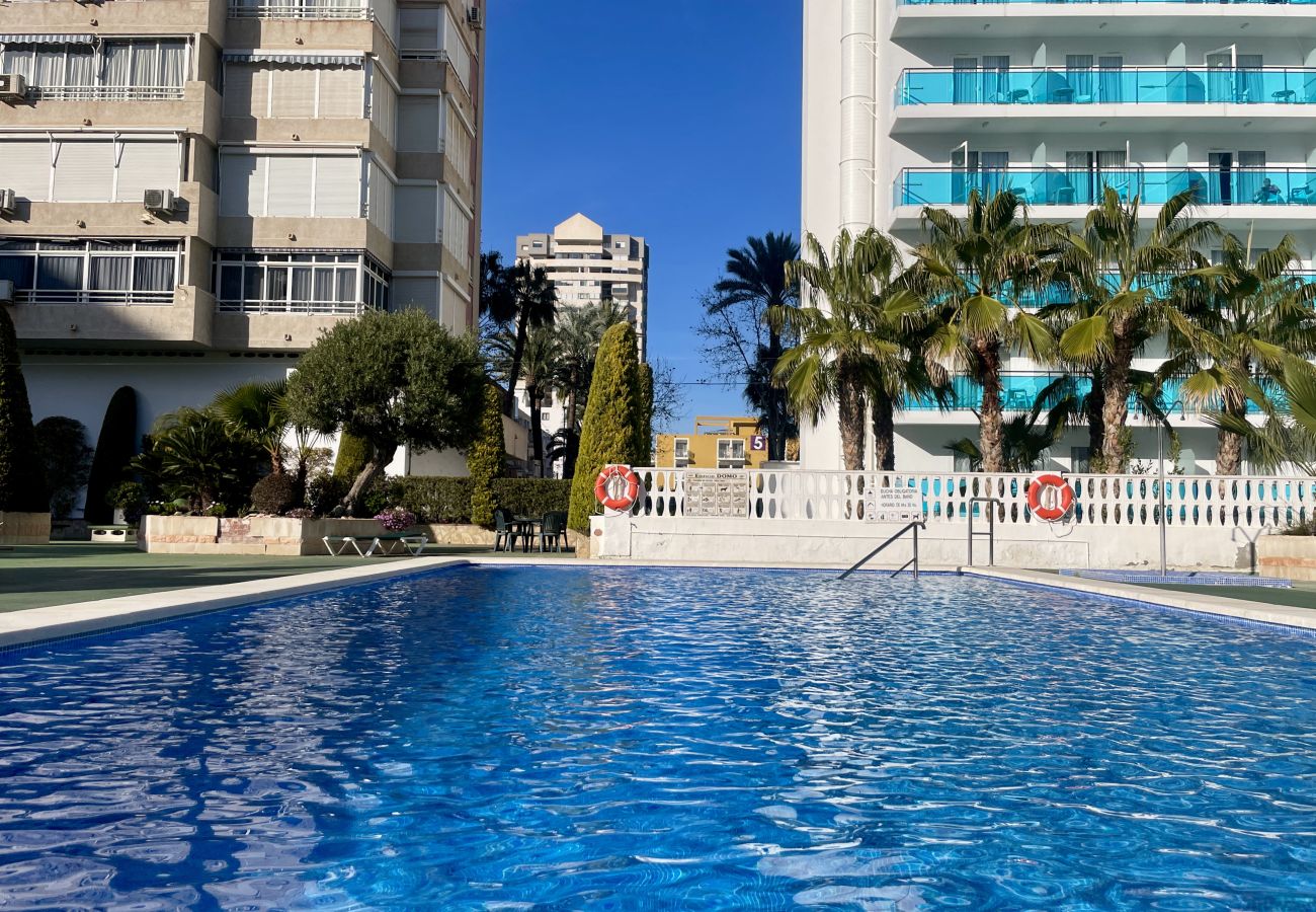 Apartamento en Benidorm - Apartamento Torre Domo con vistas al mar 