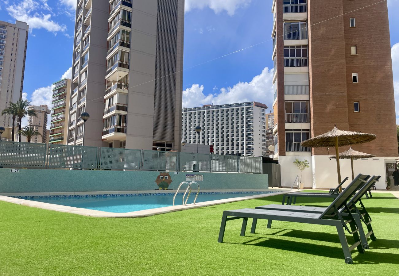 Apartamento en Benidorm - Apartamento de dos dormitorios, piscina y parking