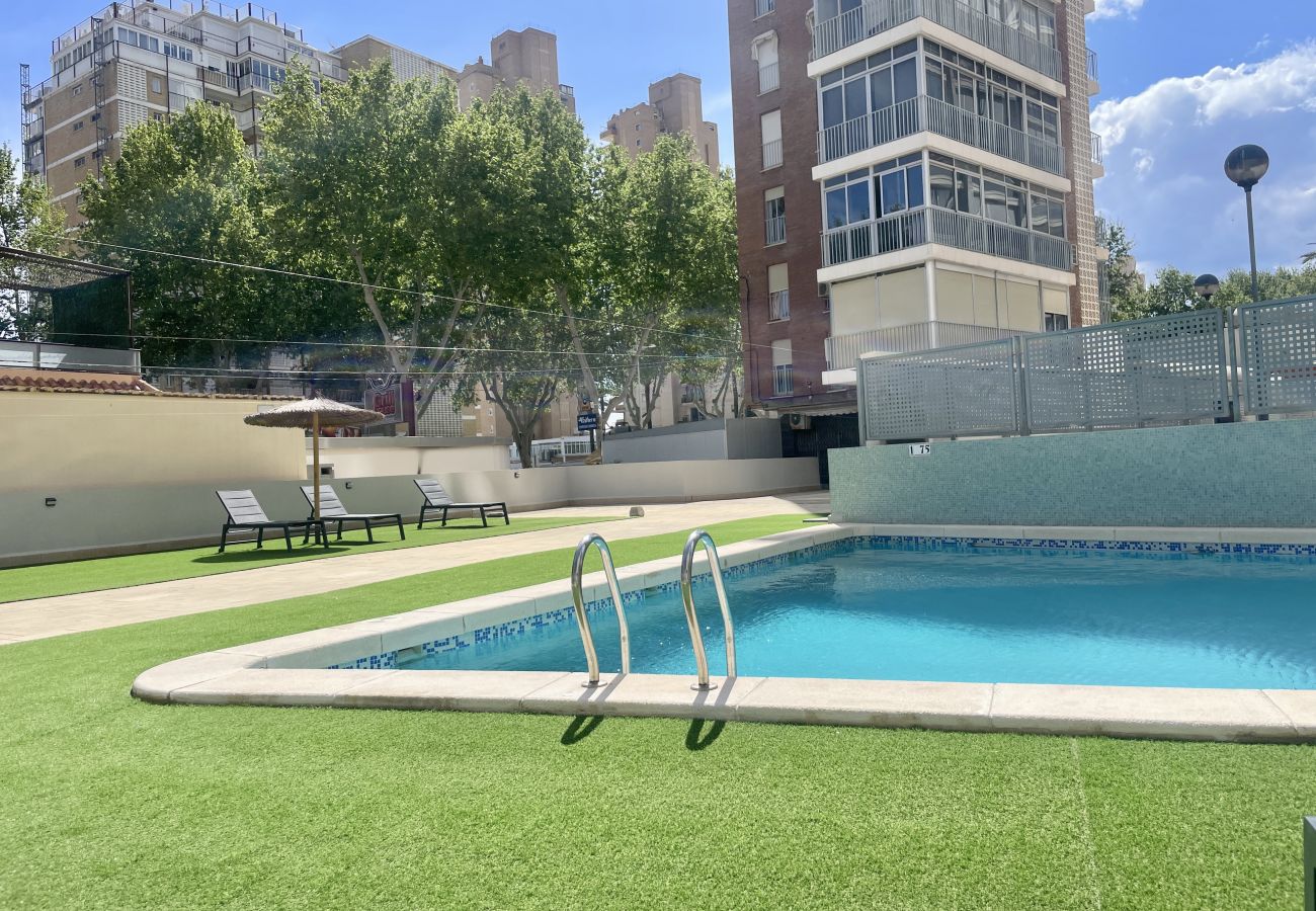 Apartamento en Benidorm - Apartamento de dos dormitorios, piscina y parking