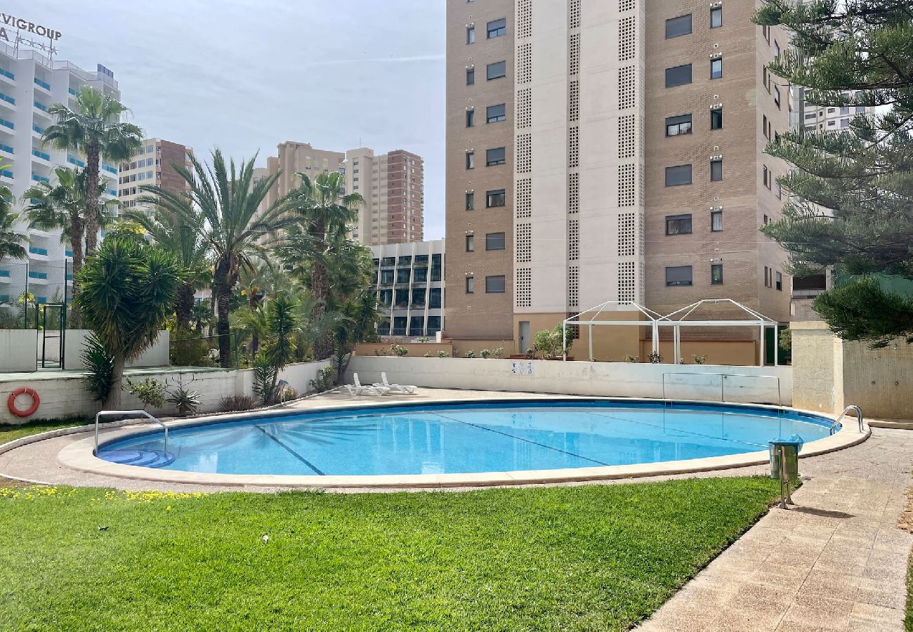 Apartamento en Benidorm - Apartamento La Pinta con terraza y vistas al mar 