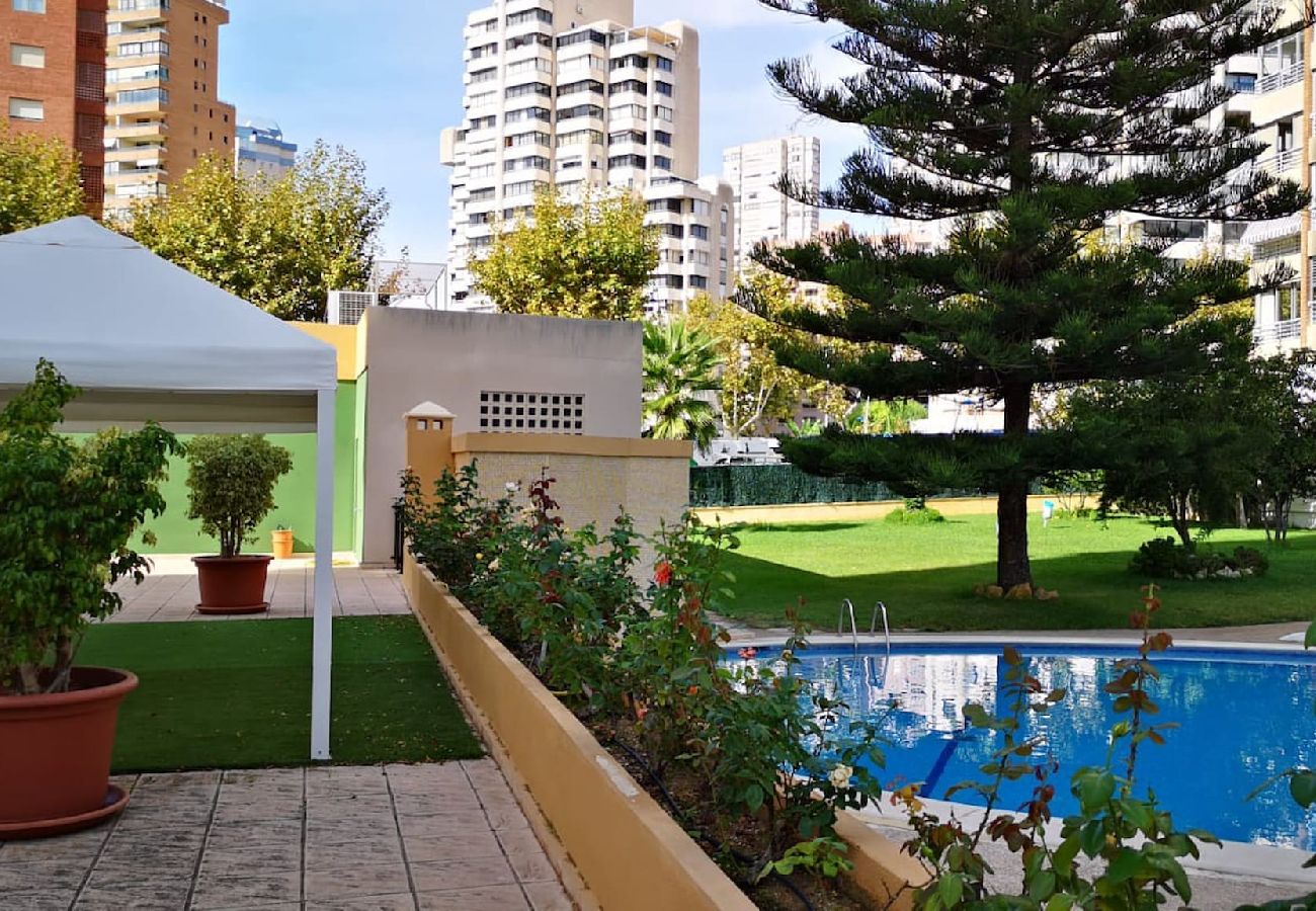 Apartamento en Benidorm - Apartamento La Pinta con terraza y vistas al mar 