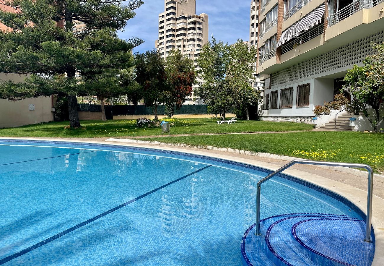 Apartamento en Benidorm - Apartamento La Pinta con terraza y vistas al mar 