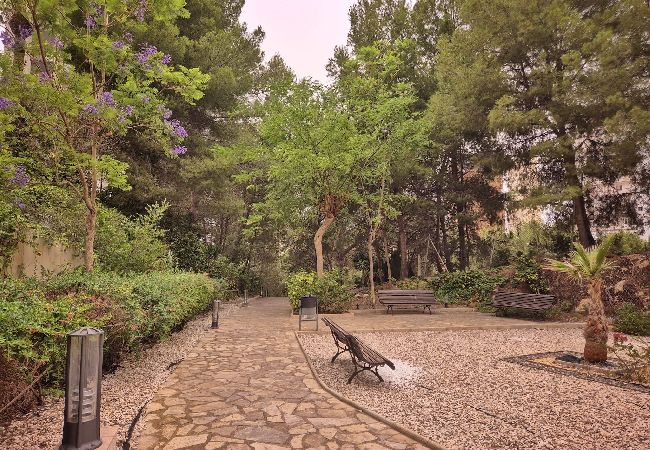 Apartamento en Benidorm - Lujoso apartamento con piscina, gimnasio y parking  Apartamento en Benidorm - Lujoso apartamento con piscina, gimnasio y parking