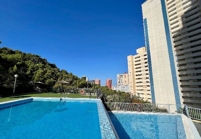 Apartamento en Benidorm - Lujoso apartamento con piscina, gimnasio y parking  Apartamento en Benidorm - Lujoso apartamento con piscina, gimnasio y parking